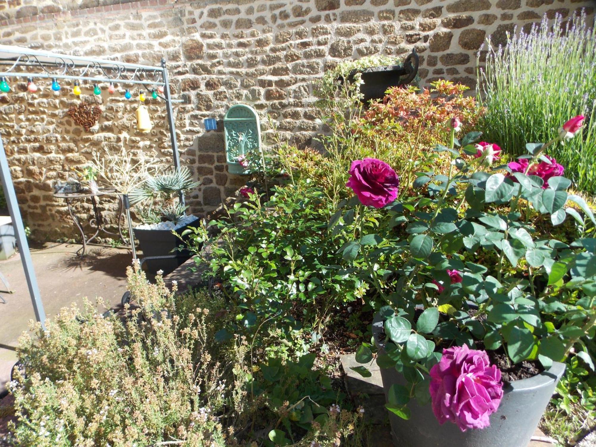 La Vie De Chateau En Toute Amitie Et Simplicite Montaudin Exteriör bild